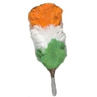 Irish Tri Color Feather Plums